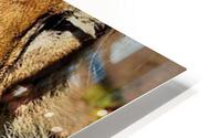 1500 HD Metal print