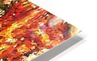 1528 HD Metal print