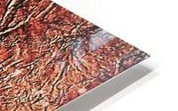 1537 HD Metal print