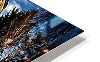 1538 HD Metal print