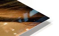 1564 HD Metal print