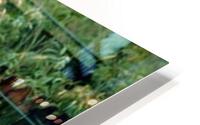 1580 HD Metal print