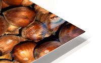 1582 HD Metal print