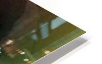 1621 HD Metal print