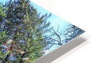 1628 HD Metal print