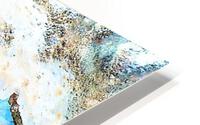 1640 HD Metal print