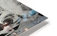 1644 HD Metal print