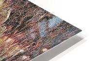 1650 HD Metal print
