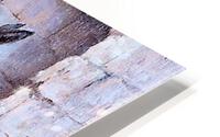 1657 HD Metal print
