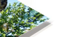 1672 HD Metal print