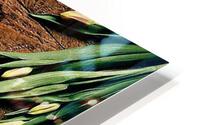 1683 HD Metal print