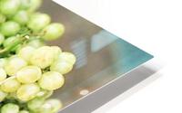 1709 HD Metal print
