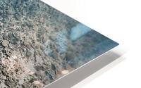 1713 HD Metal print