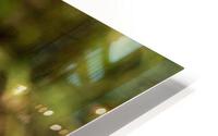 1724 HD Metal print