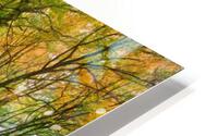 1734 HD Metal print