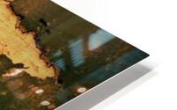 1736 HD Metal print