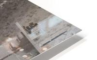 1780 HD Metal print