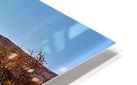1809 HD Metal print
