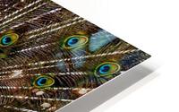 1822 HD Metal print