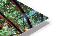 1850 HD Metal print