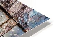 1860 HD Metal print