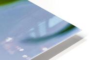 1878 HD Metal print