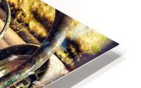1895 HD Metal print