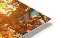 2055 HD Metal print