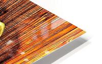 2058 HD Metal print