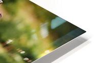 2065 HD Metal print