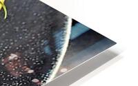 2090 HD Metal print
