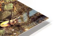 2115 HD Metal print