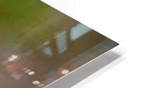 2125 HD Metal print