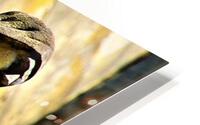 2137 HD Metal print