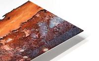 2209 HD Metal print