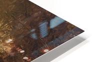 2229 HD Metal print