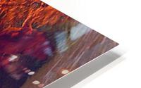 2236 HD Metal print