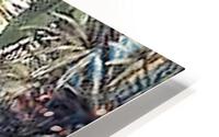 2247 HD Metal print