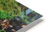 2257 HD Metal print
