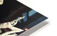 2262 HD Metal print