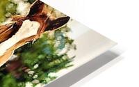 2271 HD Metal print