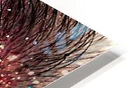 2277 HD Metal print