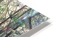 2283 HD Metal print
