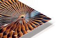 2285 HD Metal print