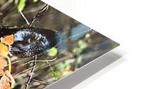 2291 HD Metal print