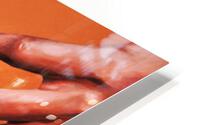 2298 HD Metal print