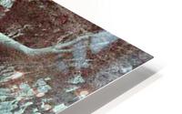 2305 HD Metal print