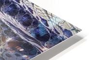 2309 HD Metal print