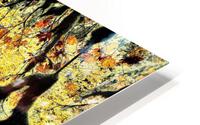 2312 HD Metal print