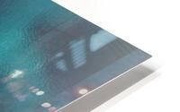 2320 HD Metal print